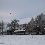 Westsachsenwinter (1)