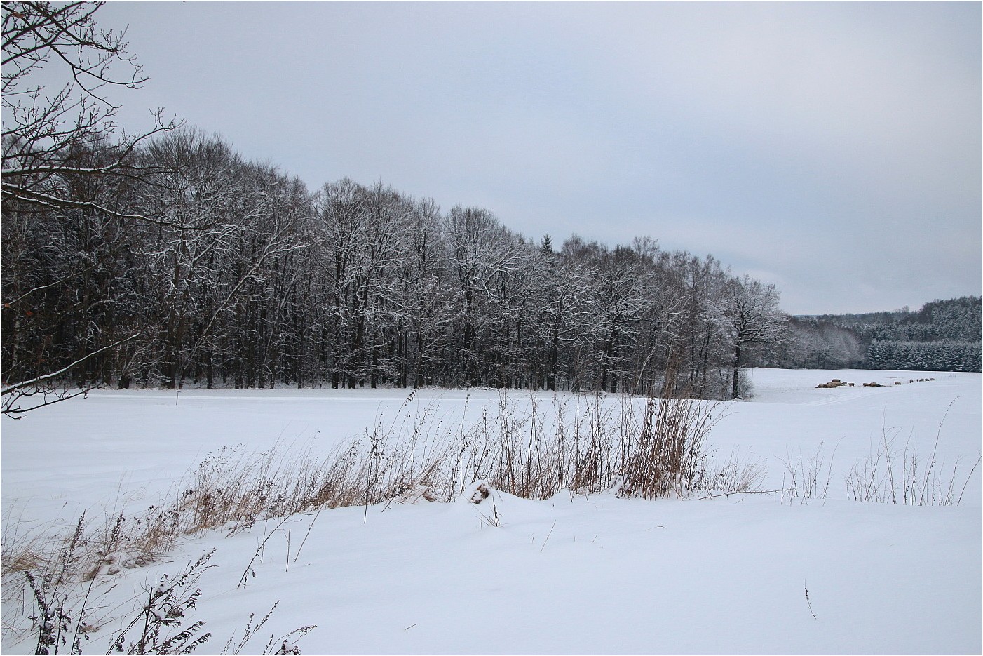 Westsachsenwinter 