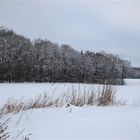 Westsachsenwinter 