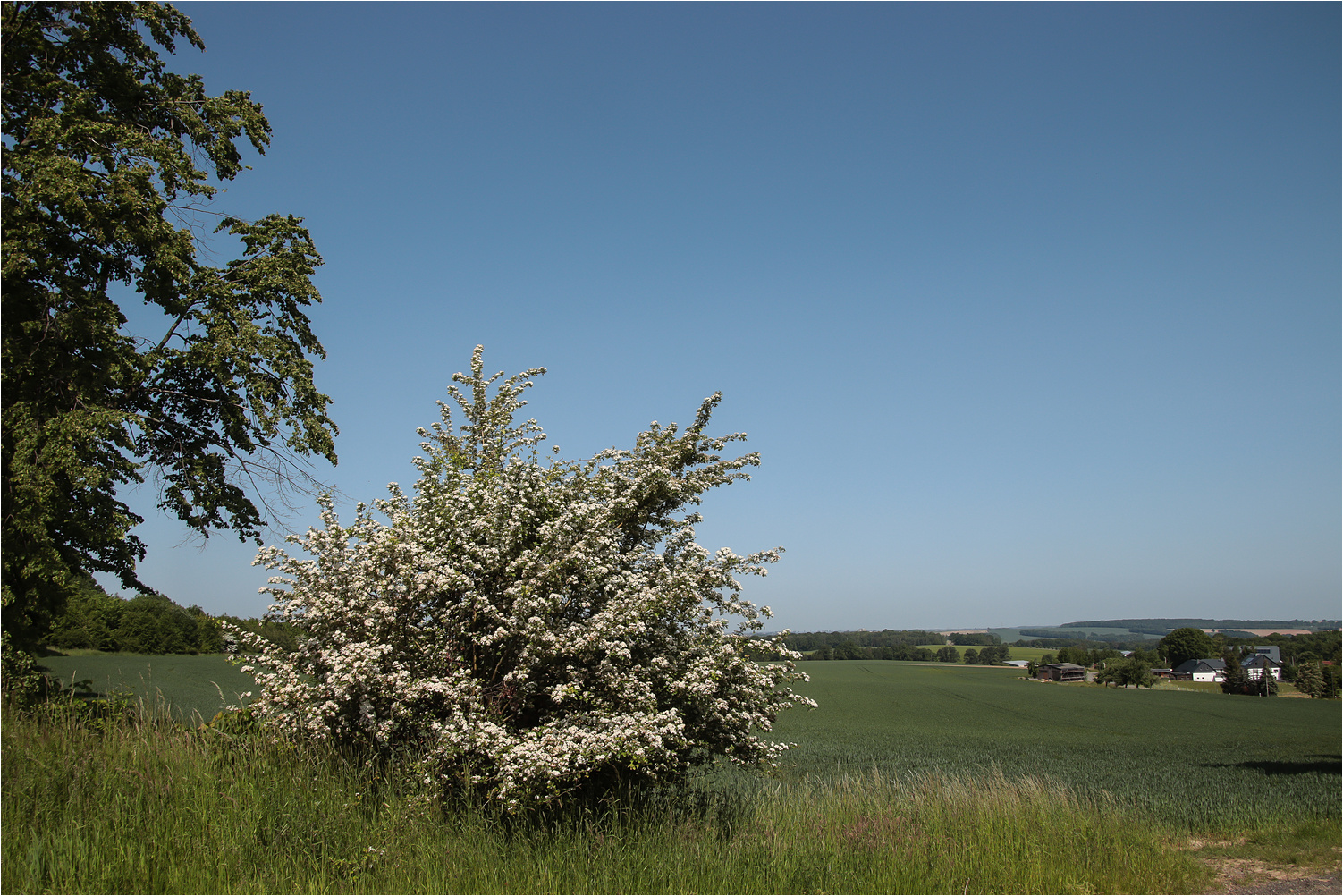 Westsächsische Landschaft