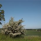 Westsächsische Landschaft