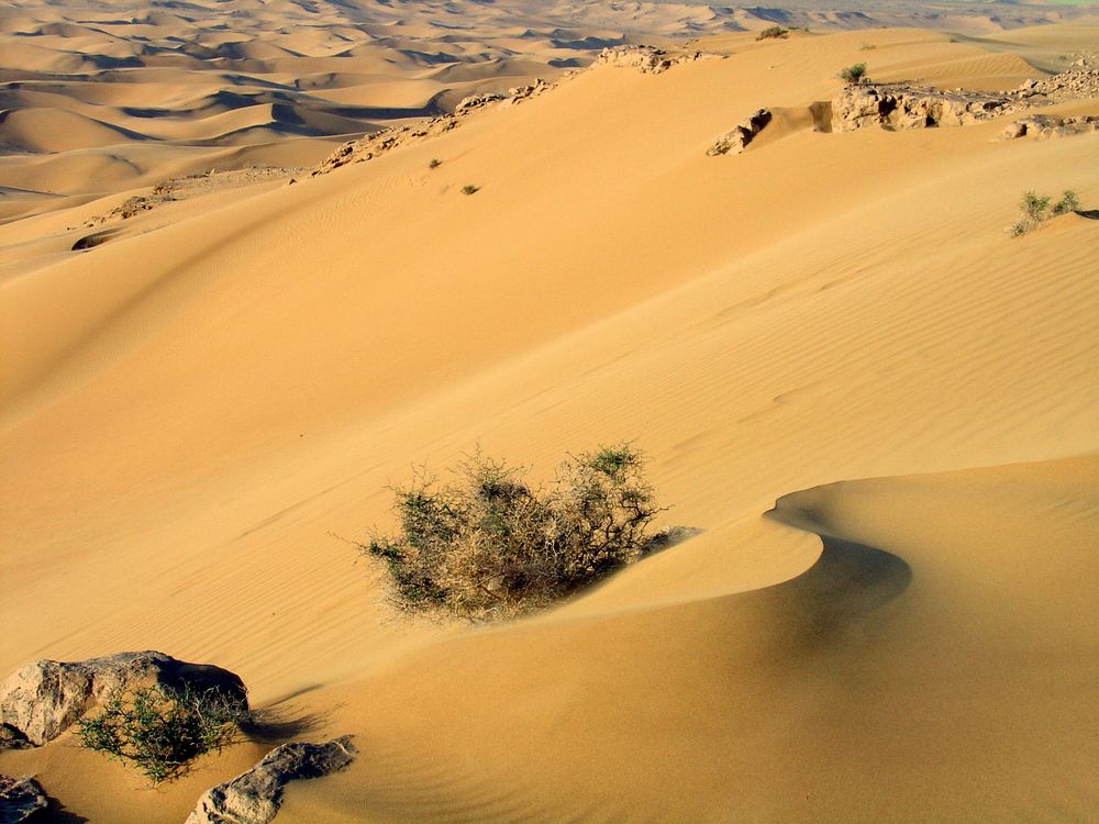 westsahara travel