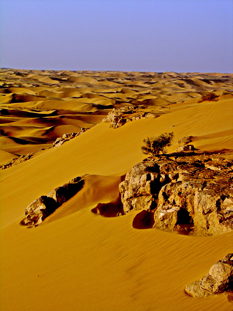 WESTSAHARA, Wüstedetail