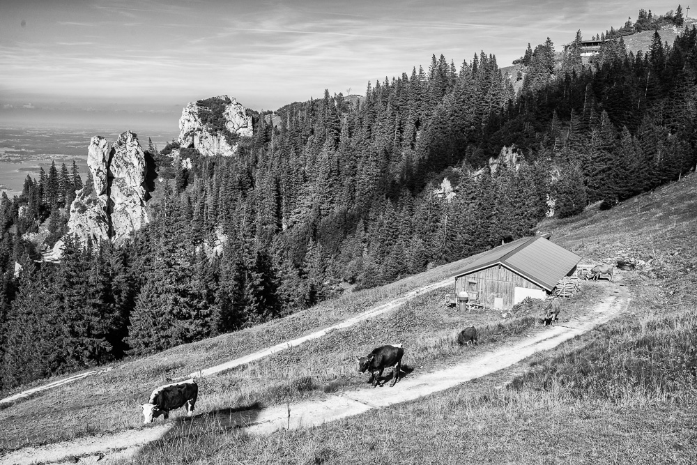 Westschleife an der Kampenwand