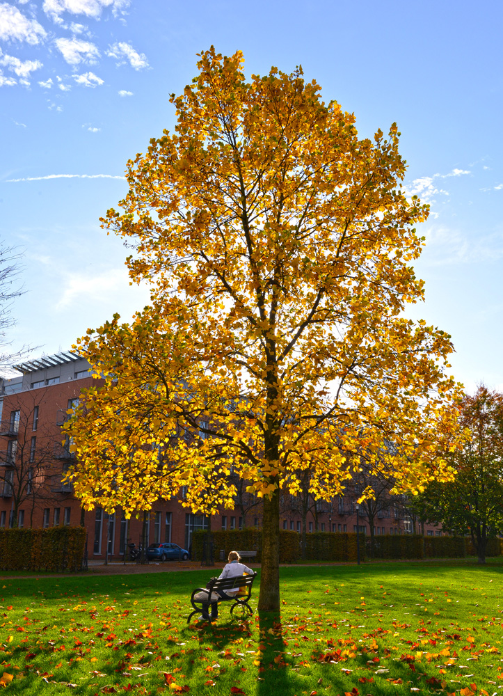 Weststadtviertel