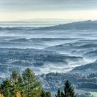 Weststeiermark im Nebel