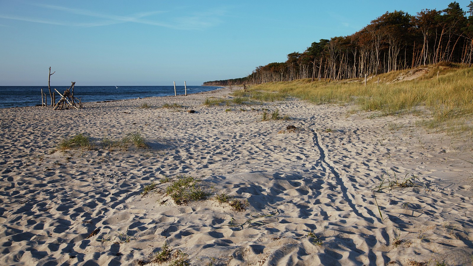 Weststrand #039