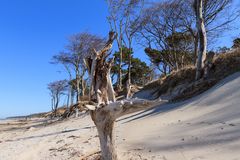 Weststrand -2-