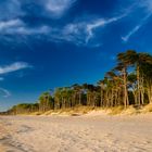 Weststrand -4-