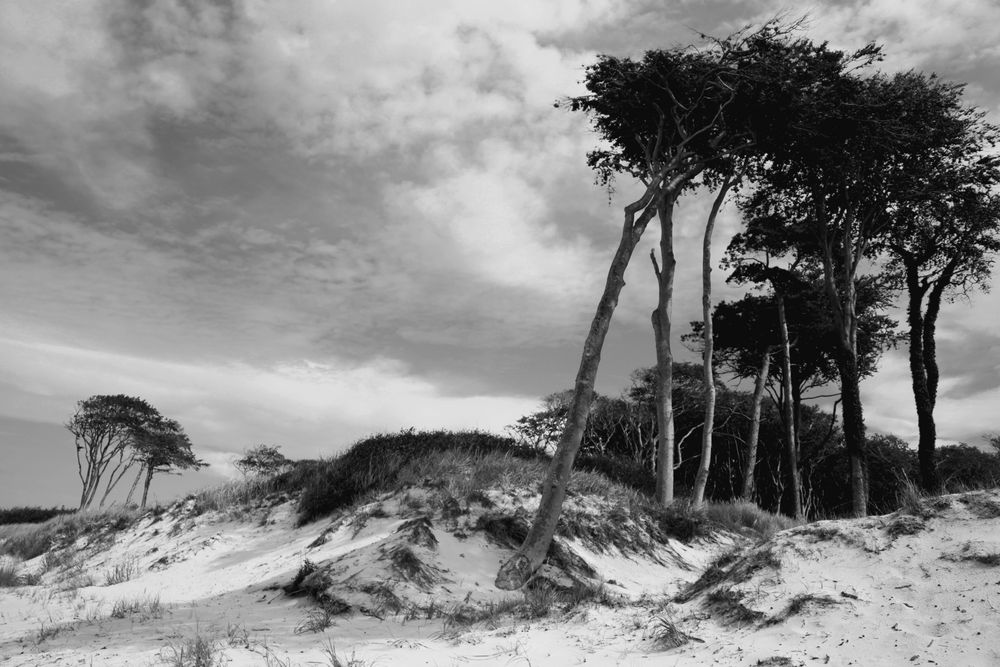 Weststrand von Isabel Unger 