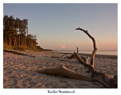 Weststrand...