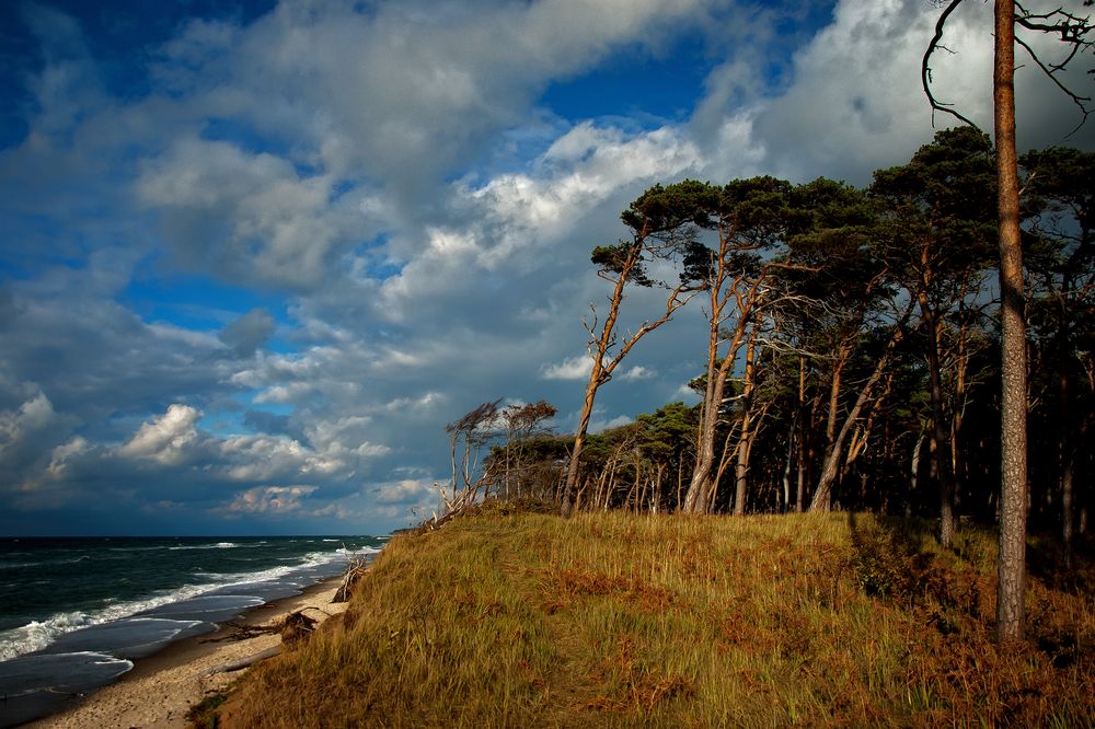 Weststrand a.d.Darß von Jakob Wilden 