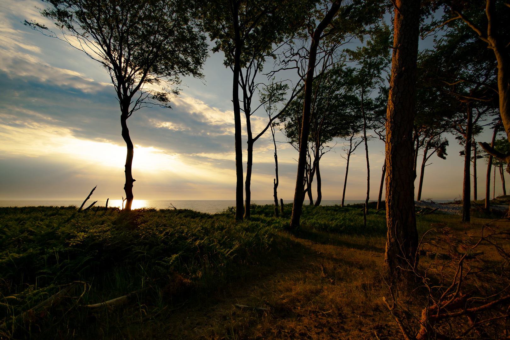 Weststrand am Abend