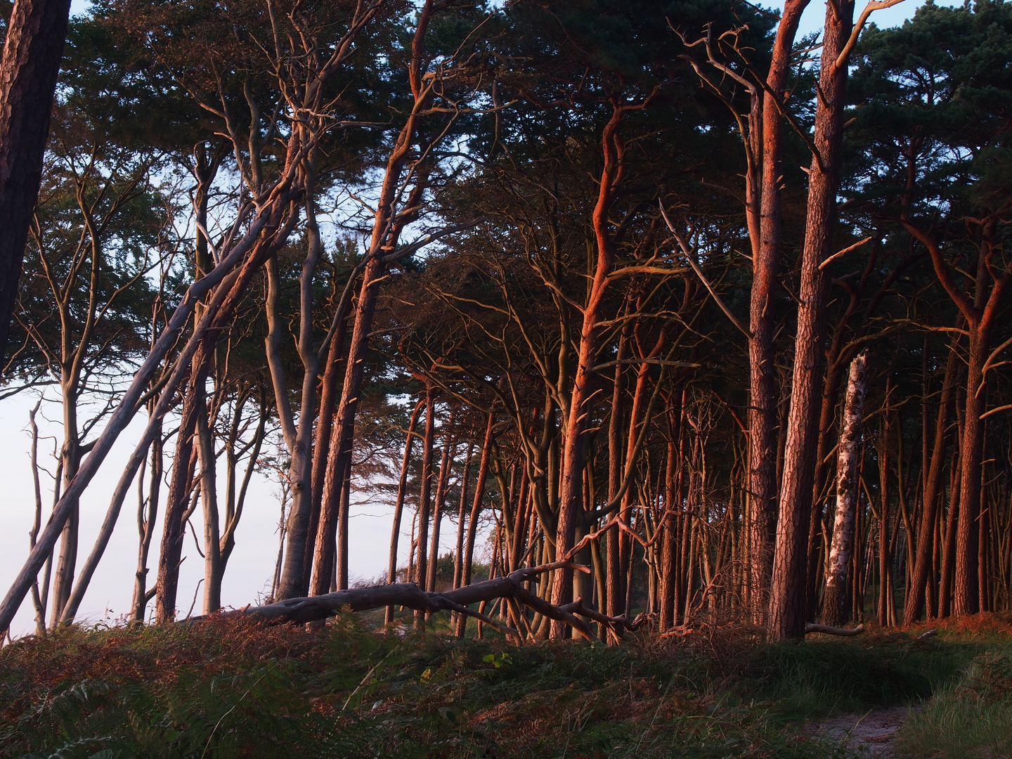 Weststrand am Abend