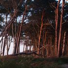 Weststrand am Abend