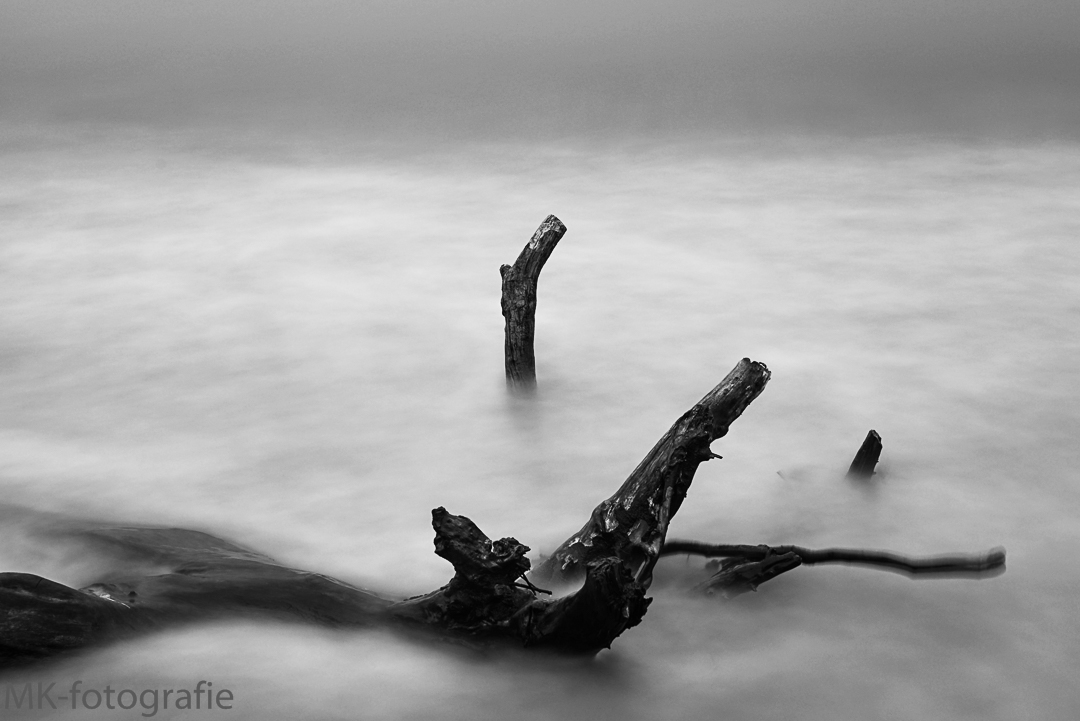 Weststrand am Darß