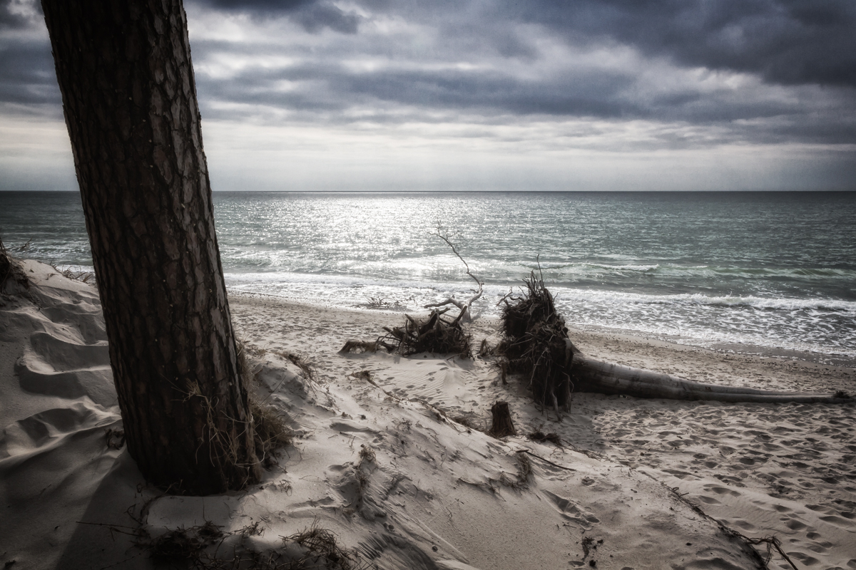 Weststrand am Darß