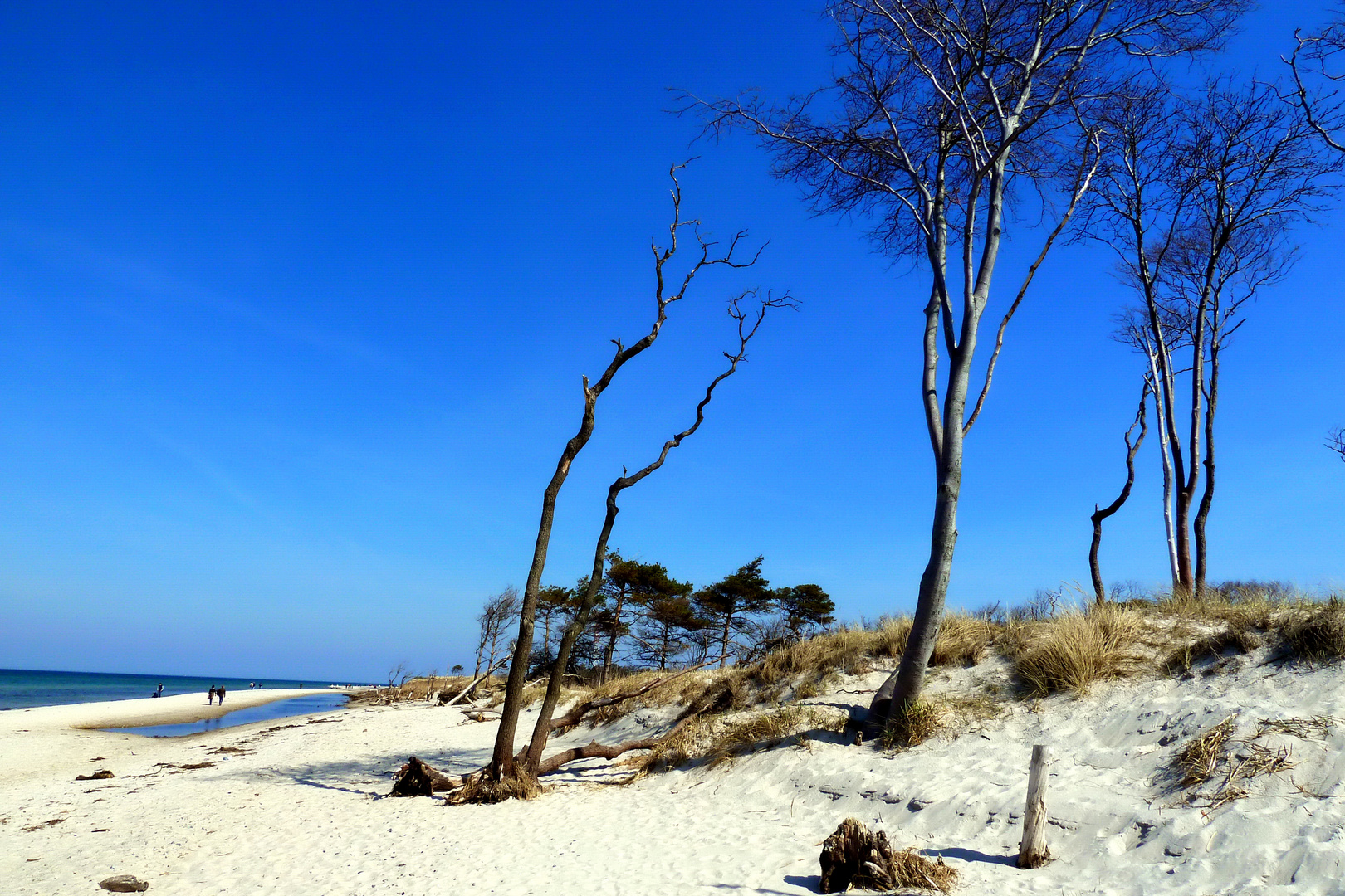 Weststrand am Darßer Ort