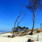 Weststrand am Darßer Ort