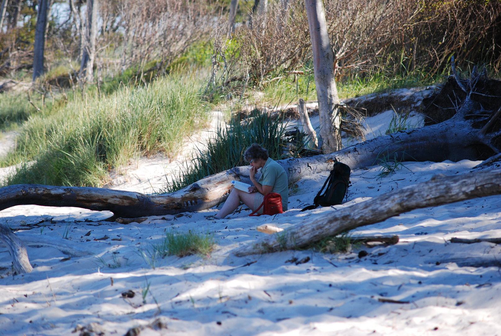 Weststrand am Morgen im Schatten