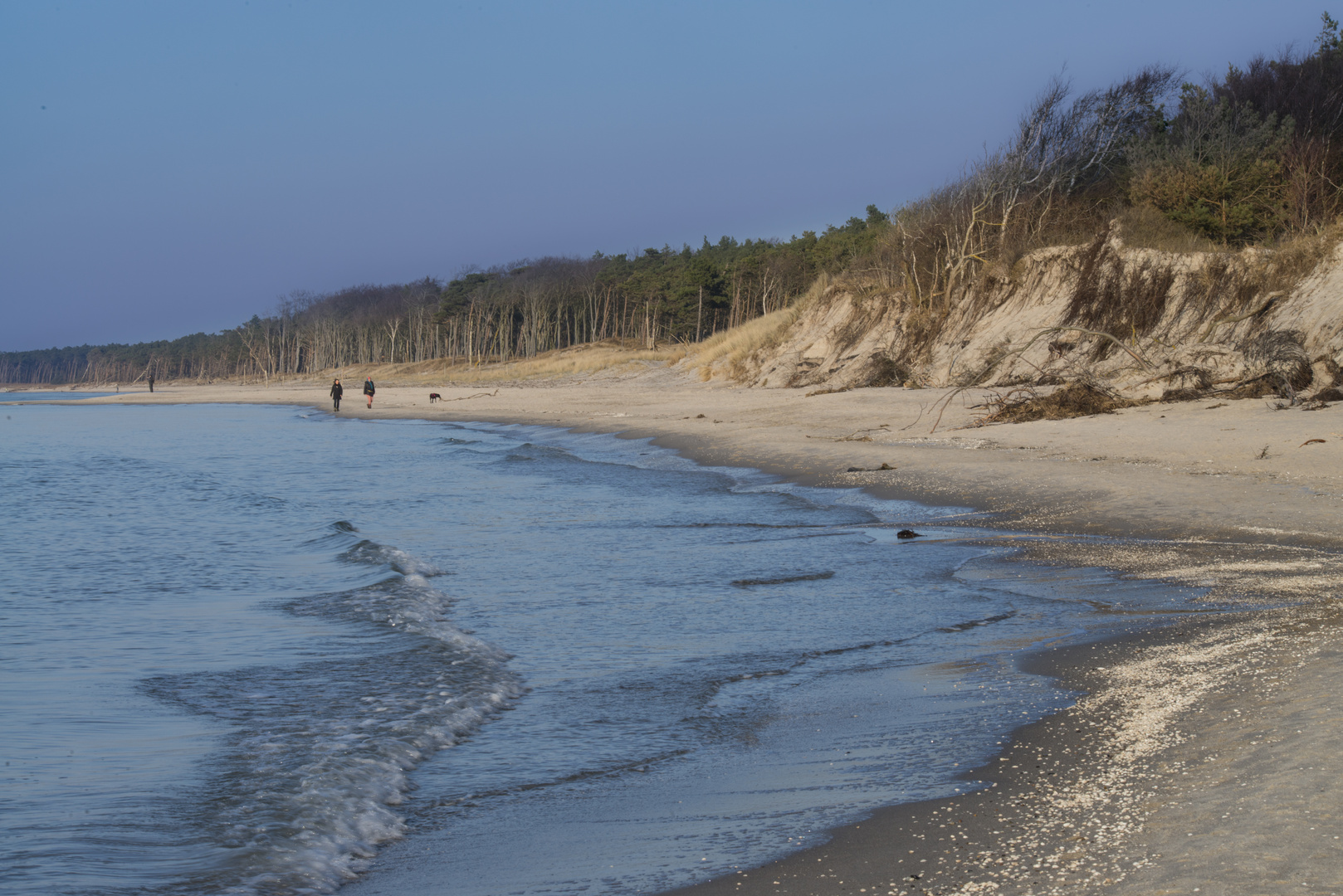 Weststrand auf dem Darß