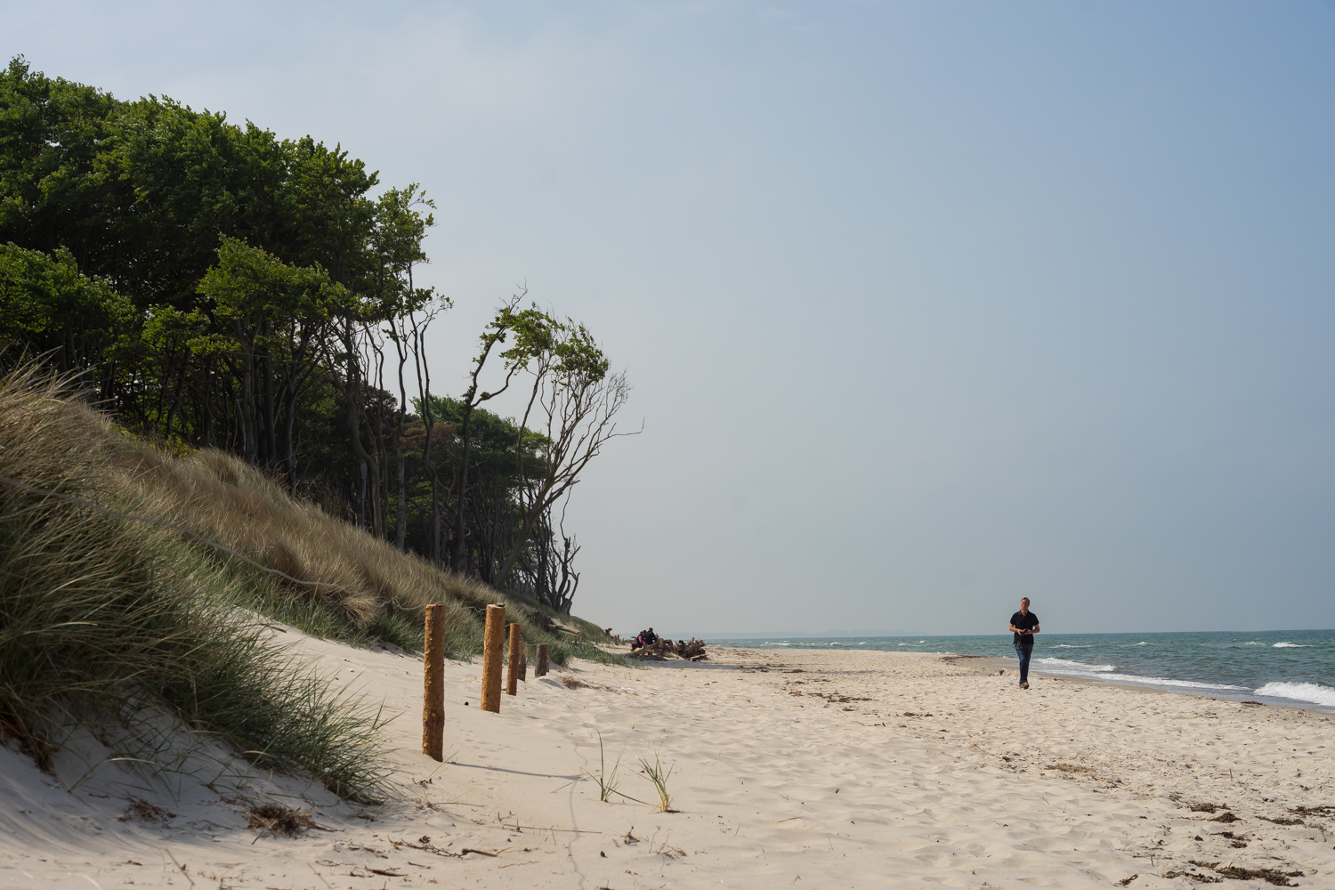 Weststrand auf dem Darß 2016