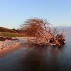 Weststrand auf dem Darß