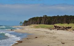 Weststrand auf dem Darss