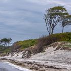 Weststrand auf dem Darß_7697