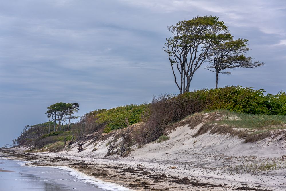 Weststrand auf dem Darß_7697