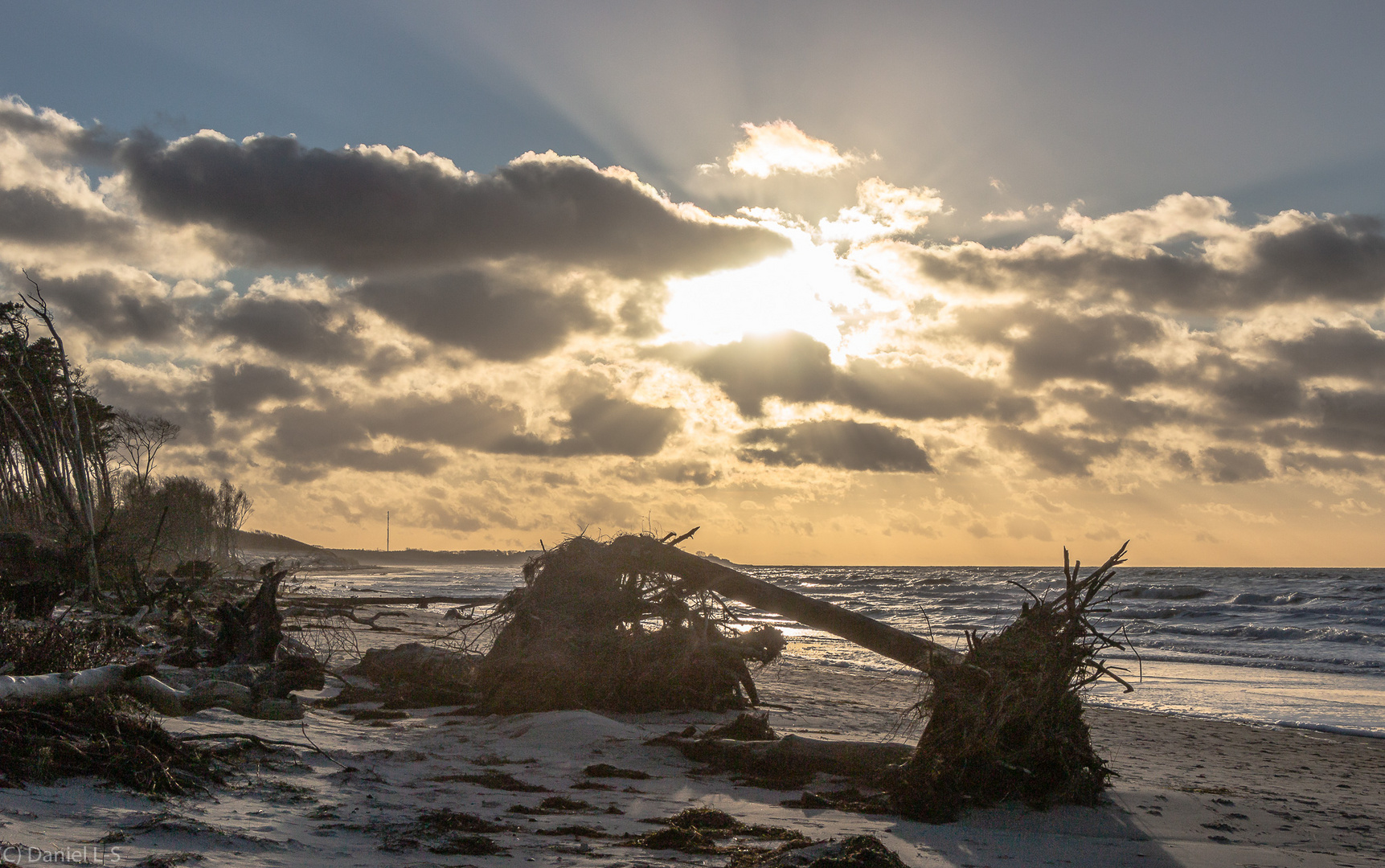 Weststrand auf Fischland Darß