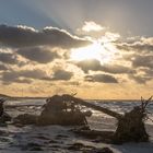 Weststrand auf Fischland Darß