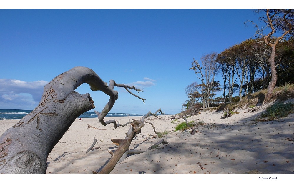 Weststrand auf'm Darß