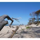 Weststrand auf'm Darß