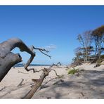 Weststrand auf'm Darß