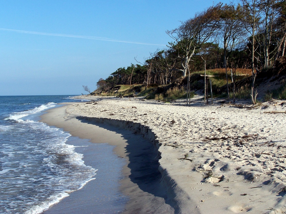 weststrand-bei-prerow-auf-dem-dar-foto-bild-landschaft-meer