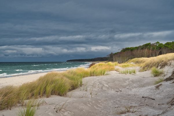 Weststrand ... Born am Darß