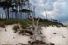 Weststrand von Wil.Hill 