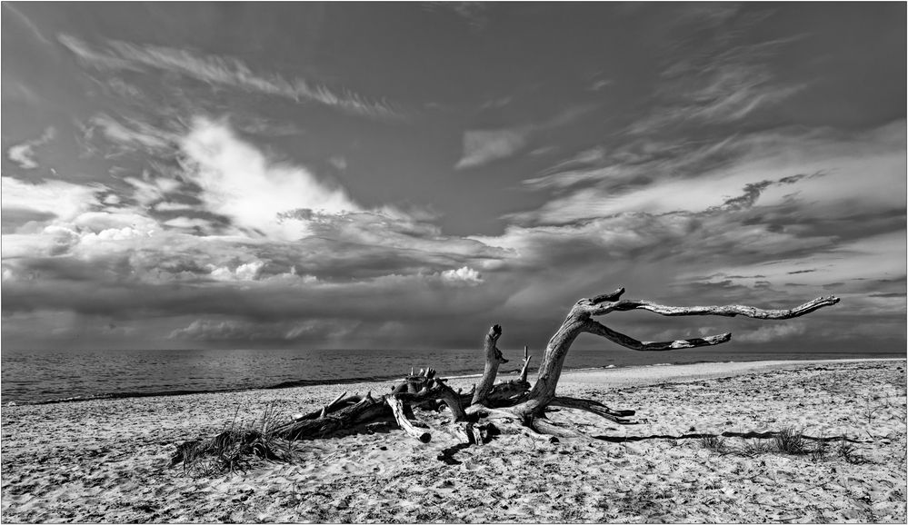 Weststrand Darß