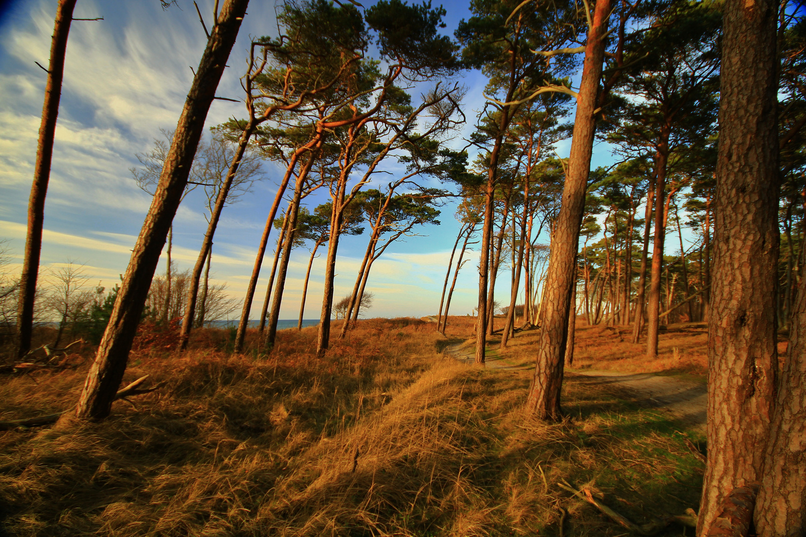 Weststrand Darß 23.02.2014