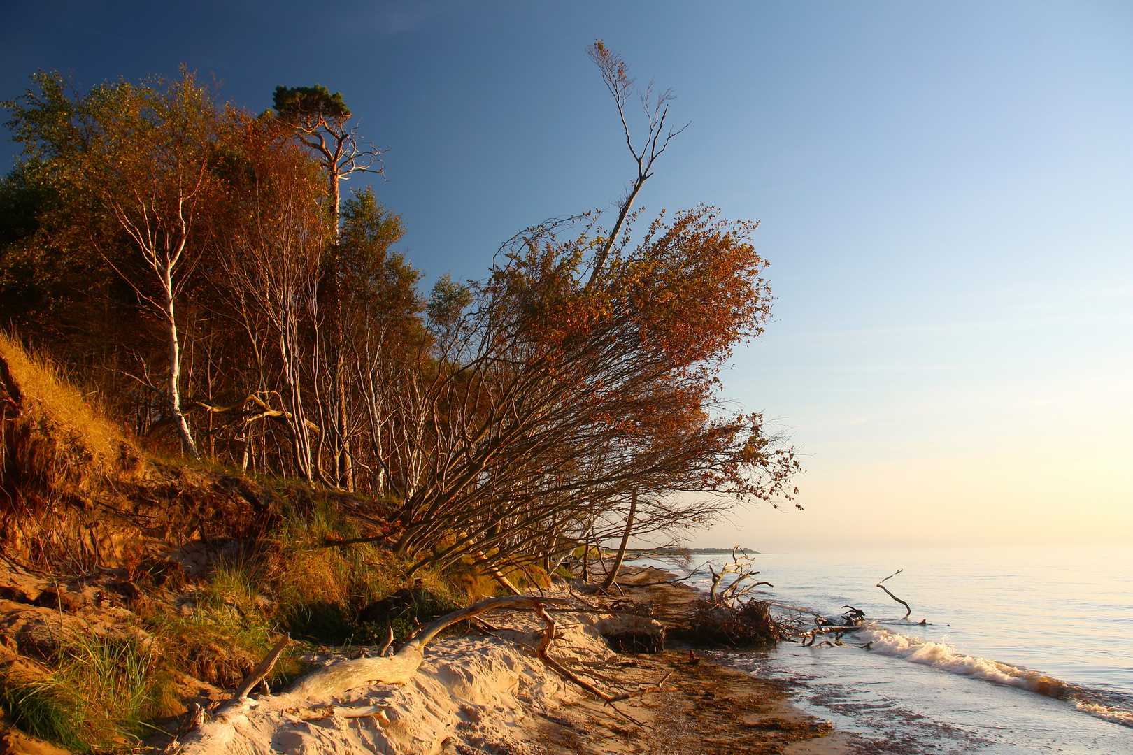 Weststrand Darss