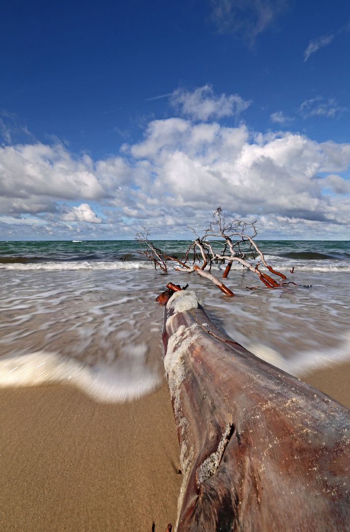 Weststrand / Darß