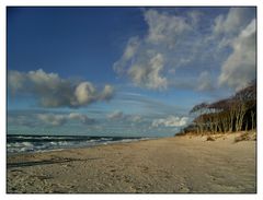 Weststrand / Darss