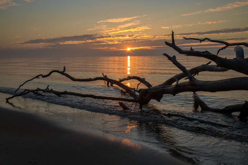 Weststrand Darß