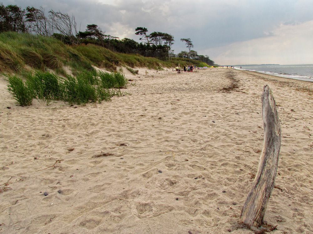 Weststrand Darß