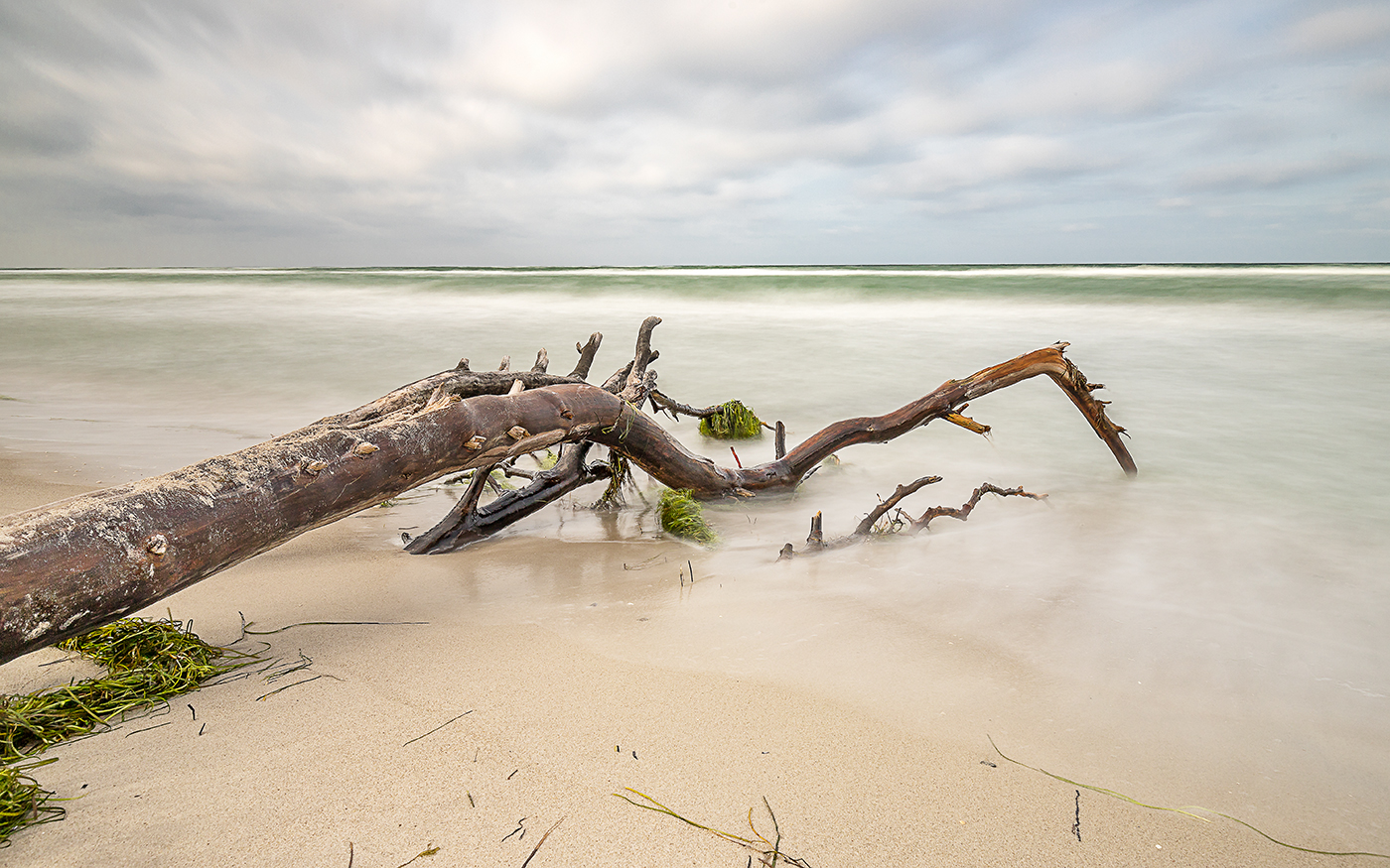 Weststrand Darß