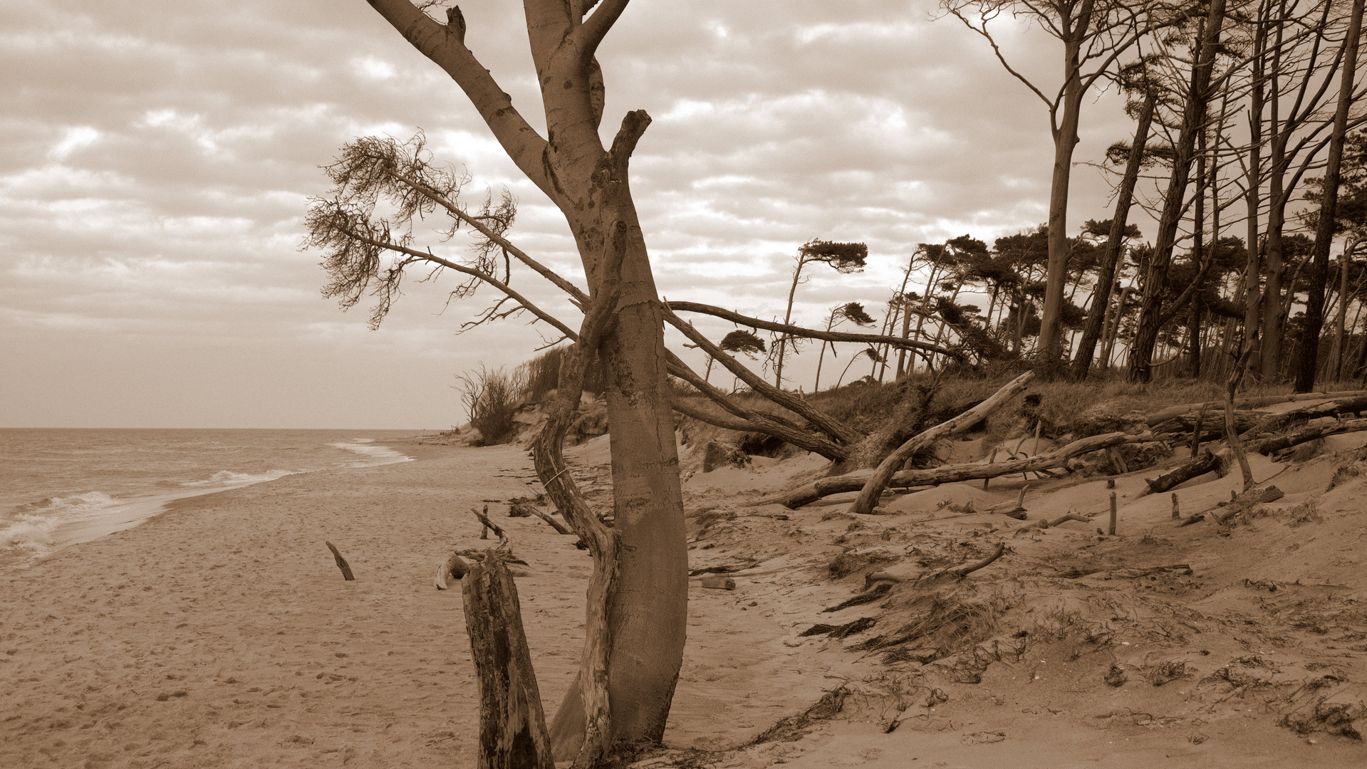 Weststrand Darß