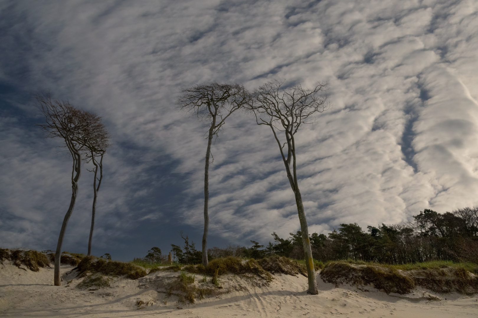 Weststrand Darß April 2024