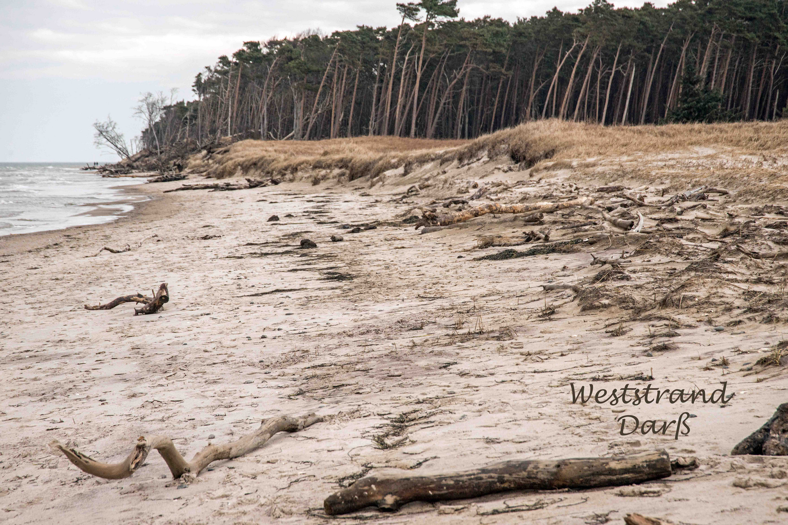 Weststrand Darß