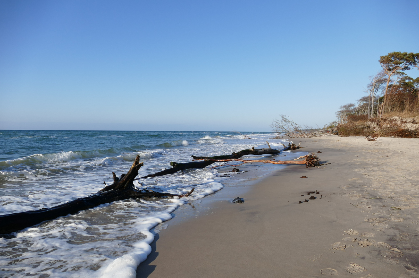 Weststrand Darß